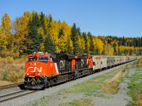 With the fall colours a blaze, brand new CN ES44ACs 2987 and 2988 are making their maiden run west, climbing through Medicine Lodge with loaded potash train B759.
