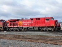 Finally able to snag a "new golden beaver" as all previous ones had passed by on rainy days just like today. A bit of luck saw some brief sun just before it was shopped.