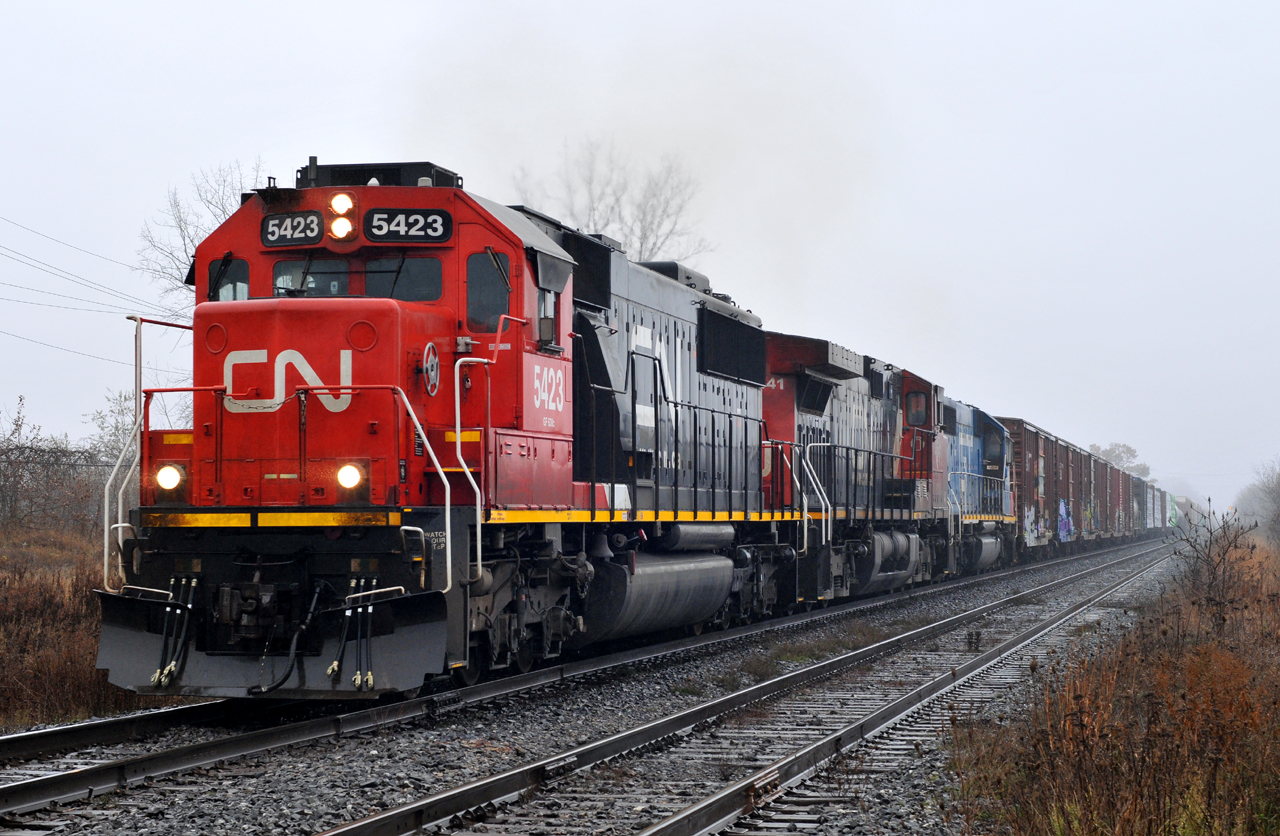 CN A43531 18 crossing Oak Park Road, with CN 5423, BCOL 4641, GTW 5936, and 170 cars