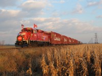 After having a meet in Tilbury with CP 140, the US Canadian Pacific Holiday Train dashes by a field on its' way to Windsor. This was taken at Gracey Side Road roughly halfway between Tilbury and Haycroft. 