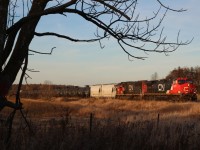CN train 399 with IC repainted SD70 #1008 trailing is framed by an old tree that is marked and will not see another autumn. I have always likes the field shot here and its a nice quiet crossing not far from bustling Burlington. It's sad to see so much of the old farmland between Milton and Burlington being redeveloped and slowly connecting the two cities.