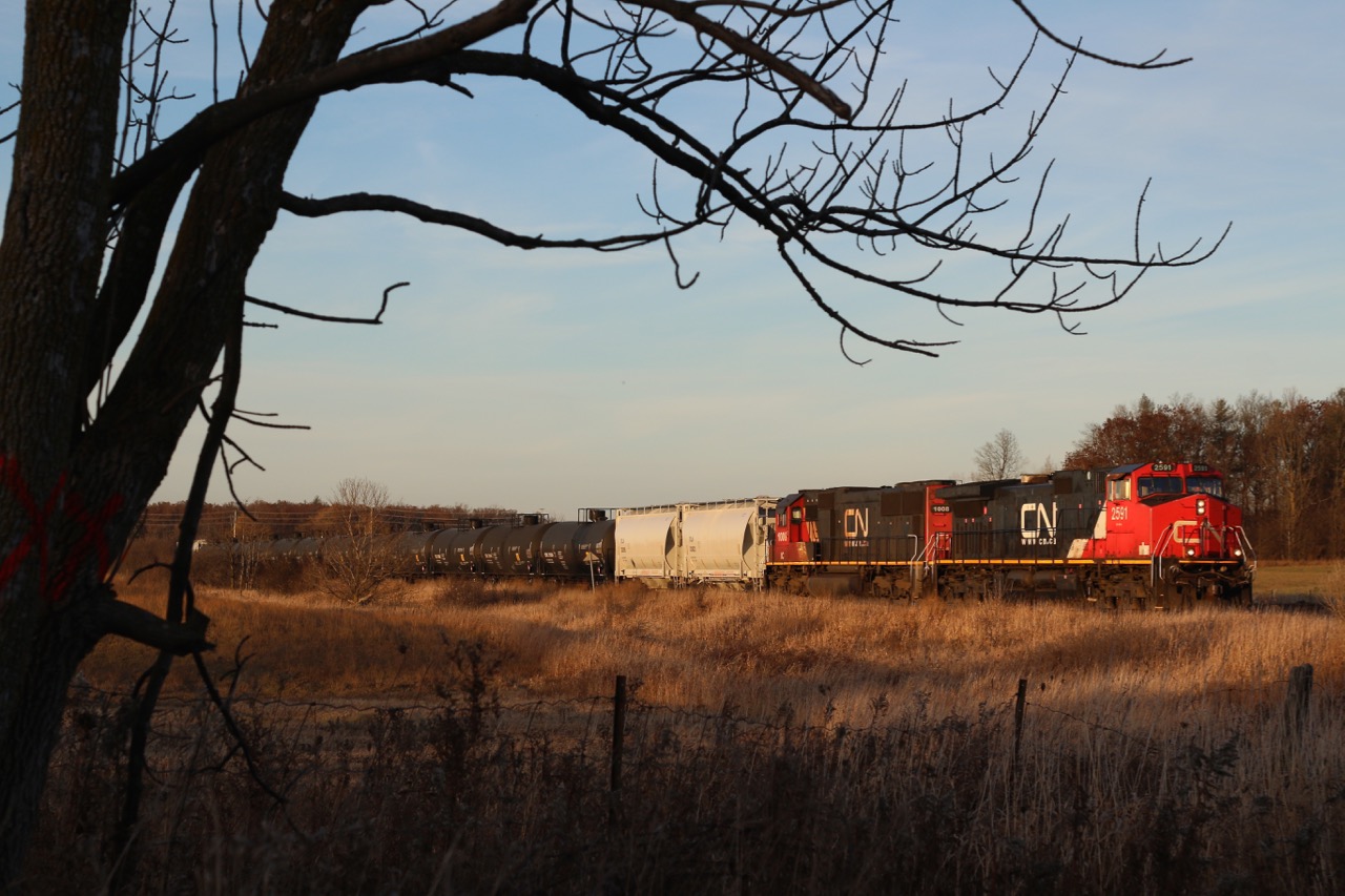 CN train 399 with IC repainted SD70 #1008 trailing is framed by an old tree that is marked and will not see another autumn. I have always likes the field shot here and its a nice quiet crossing not far from bustling Burlington. It's sad to see so much of the old farmland between Milton and Burlington being redeveloped and slowly connecting the two cities.