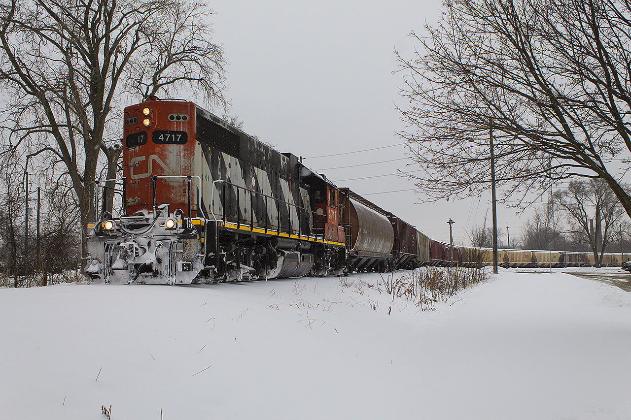 What a difference a few weeks can make! After a warmer than normal November, December started off being a typical winter month with lots of snow. Here, with a decent cut of grain cars, CN 4717 looks ever the worse for wear in the cold running long nose forward. 514 is just starting it's morning run down to Blenheim, where it will switch out the surprisingly still busy Thompson's facility.