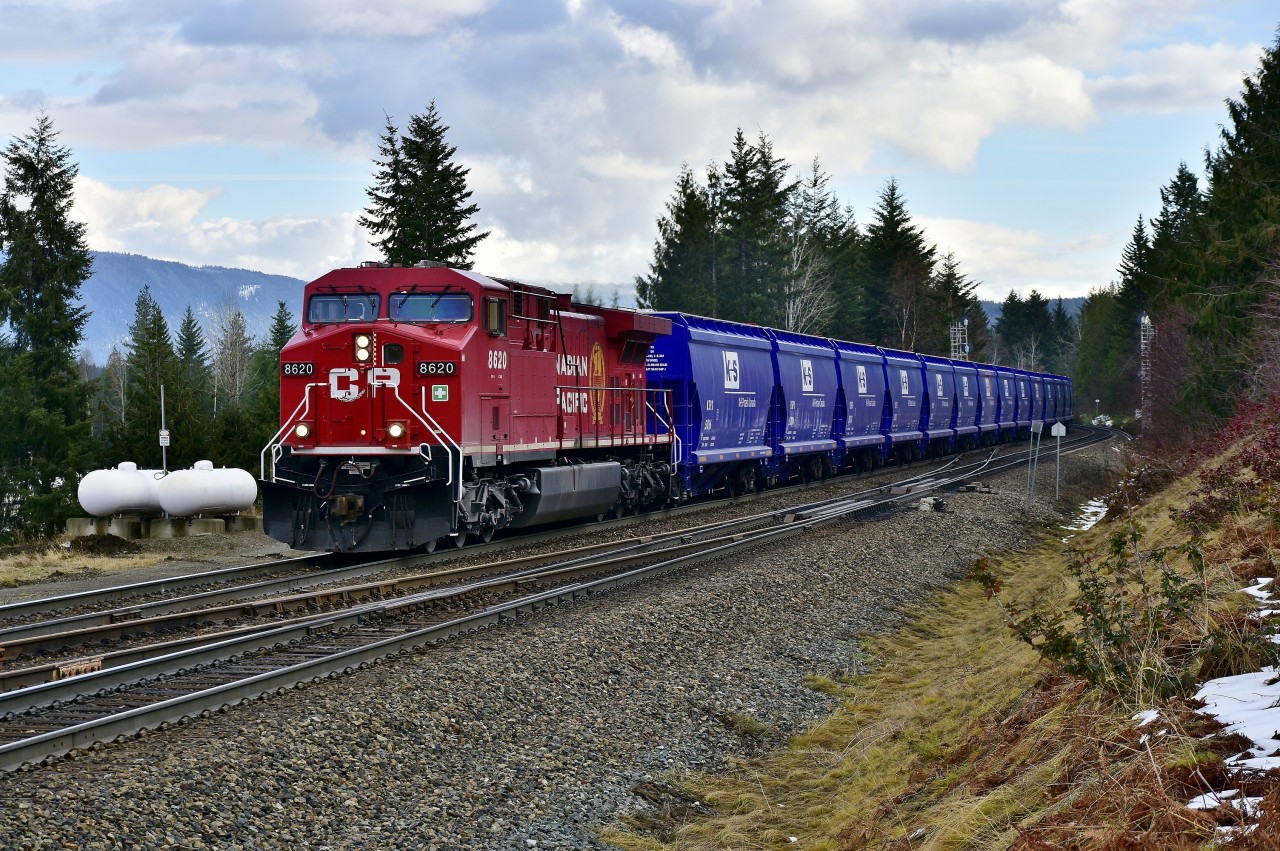 Recently re-painted CP 8620 leads a train load of new potash cars westwards at Berton on the Shuswap sub.