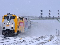 VIA 919 leads 73 through Paris Junction during a brief whiteout 