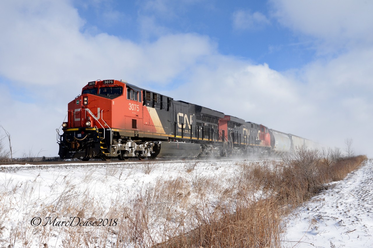 A blustery day to say the least today as 509 is about to cross Waterworks Sideroad on its way to Sarnia from London. A couple of hours earlier I shot 399 and only the leading unit was distinguishable.