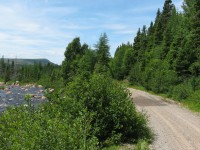 KITTY'S BROOK REVISITED. While obtaining retake photos for my first book project, 'RAILS ACROSS THE ROCK', to match with a 'then' image, it was necessary to traverse pretty much the entire former Newfoundland railway by whatever means possible. On this particular day (July 27,2011) in order to recreate a scene that I had shot some 23 years earlier (see Image 13144) along with others, I drove my truck 300 kms from Conception Bay South to overnight in Gambo and early the next morning another 200 kms to Millertown Junction where I then jumped aboard my cousin's borrowed ATV to ride the remaining 50 kms along the roadbed! Of all my retakes taken along the stretch of railbed that ran over the Gaff Topsails, this was probably the most remote and isolated of them all. (NOTE TO EDITOR - Could you please consider this for the 'Time Machine' to match with Image 13144 taken on 04/16/1988?)