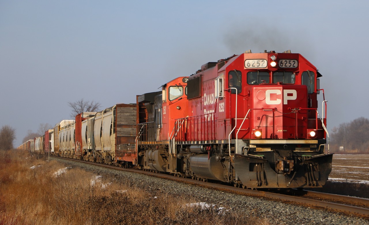 CP 6252 lead's CP 244 in Puce, Ontario.