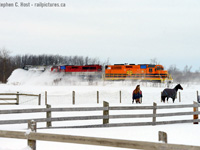 Three years ago to the day, I was fortunate to shoot <a href=http://www.railpictures.ca/?attachment_id=12924 target=_blank>two plows in one day</a> as the OSR and GEXR both providing a difficult choice after a massive snow dump - you have to bet on at least one horse and see what happens. Jan 9 2014 I bet on the OSR, spent the morning there, and on the way home, drove via Stratford on a hunch and was rewarded as I found the plow returning from Goderich and they ran to London. It was a very rewarding day and one that well, is difficult to repeat. GEXR and OSR ran upwards of 80 plows over two winters in 2014 and 2015 and only once did they overlap to my knowledge. I should mention it seems it was certainly much easier to do two (or three) in a day in the 70's or 80's... (Anyone have proof?) :)<br><br>Lately GEXR's been using their snow-machine and the plow's only been out <a href=http://www.railpictures.ca/?attachment_id=22949 target=_blank>once since 2016</a> - now twice, as the snow machine couldn't handle wards cut this past weekend. Crews also informed me they dug out using front end loader on Monday (Sending 581 to Guelph instead of drift busting), so Tuesday was the day to bet on GEXR and they ran a plow to Goderich under some quite heavy drifting.<br><br>At least I shot two of something: Two horses (The Animals, not the Locomotives!) are startled as GEXR work plow 2303 passes a small hobby farm near Mitchell Ontario.