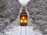 CN 2949 leads westbound train 406, as they approach Petitcodiac, New Brunswick. The placement of the snow on the trees makes it seem as if they're heading through a snow tunnel. 