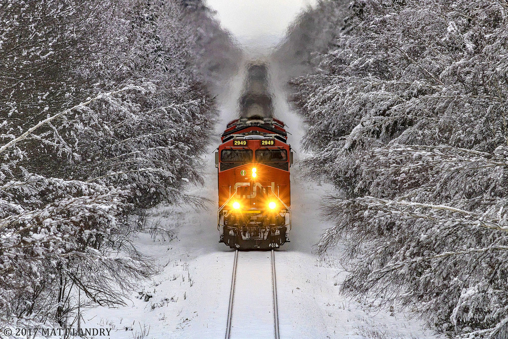 CN 2949 leads westbound train 406, as they approach Petitcodiac, New Brunswick. The placement of the snow on the trees makes it seem as if they're heading through a snow tunnel.