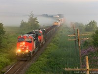 Coming out of the fog, CN 120 crosses over the New Brunswick / Nova Scotia border, approaching Amherst, Nova Scotia. A few minutes after this shot, the sun finally came out. 