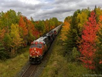 CN 3070 leads a potash train through nice Fall colors, approaching Petitcodiac, New Brunswick. 