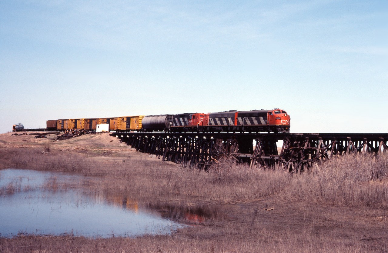 On a glorious Easter Sunday (sunny and +20 C), CN train 532 makes its first trip of the week with a fine consist--F7Au 9172, "blinded" F7Au 9102, and GP9 4309. (532 was a daily except Saturday, Winnipeg-Emerson turn, handling traffic for traffic for interchange with the Burlington Northern and Soo Line at Noyes, ND. Starting in 1983, it also took BN Manitoba Ltd haulage rights traffic to parent BN, replacing BNML's own train.) The train is crossing the "raging Morris River", swelled by spring run-off from its usual creek size!