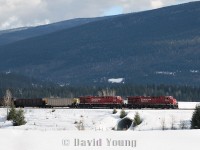 How do you make a train look small? Visit places like British Columbia! CP ES44AC's 8774 and 8831 work an aluminum set of coal loads up Notch Hill, through the open valley fields east of Sorrento, BC. Half way back another GE assists on the trains final major accent through the mountains.