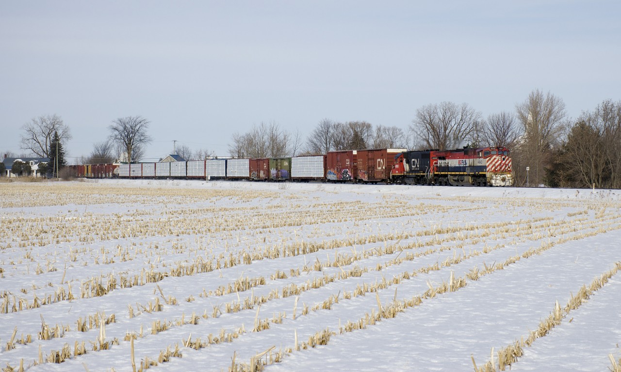 En route to the Canada-U.S. border and then interchange with the NECR in St. Albans, Vermont, CN 324 passes a cornfield in the small town of Saint-Blaise-sur-Richelieu with BCOL 4643, GTW 4900 and 54 cars.