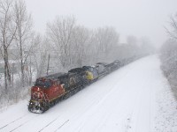 CN 2151 (built for ATSF, later becoming part of BNSF's feelt) & GECX 9142 (built for Conrail, later acquired by CSXT) lead CN 310 eastwards on CN's Montreal sub during a very thick snowfall.