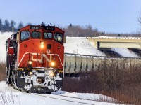 A rare daylight run, BCOL 4641 leads a small eastbound "594" potash train, as they pass underneath highway 1, approaching Sussex, New Brunswick. 