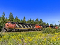 On a beautiful long weekend, CN 2426 is westbound, passing by a few flowers at Passekeag, New Brunswick. 