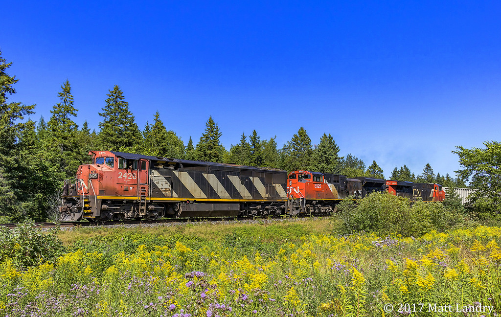 On a beautiful long weekend, CN 2426 is westbound, passing by a few flowers at Passekeag, New Brunswick.