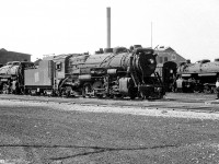 Various steam engines sit outside CN's Stratford Shops in 1959, nearing the end of their careers as dieselization on CN was almost complete. Of the units pictured, Mikado 3547 was scrapped in August 1959, Northern 6220 was scrapped July 1961, and Mikado 3257 was scrapped November 1960.