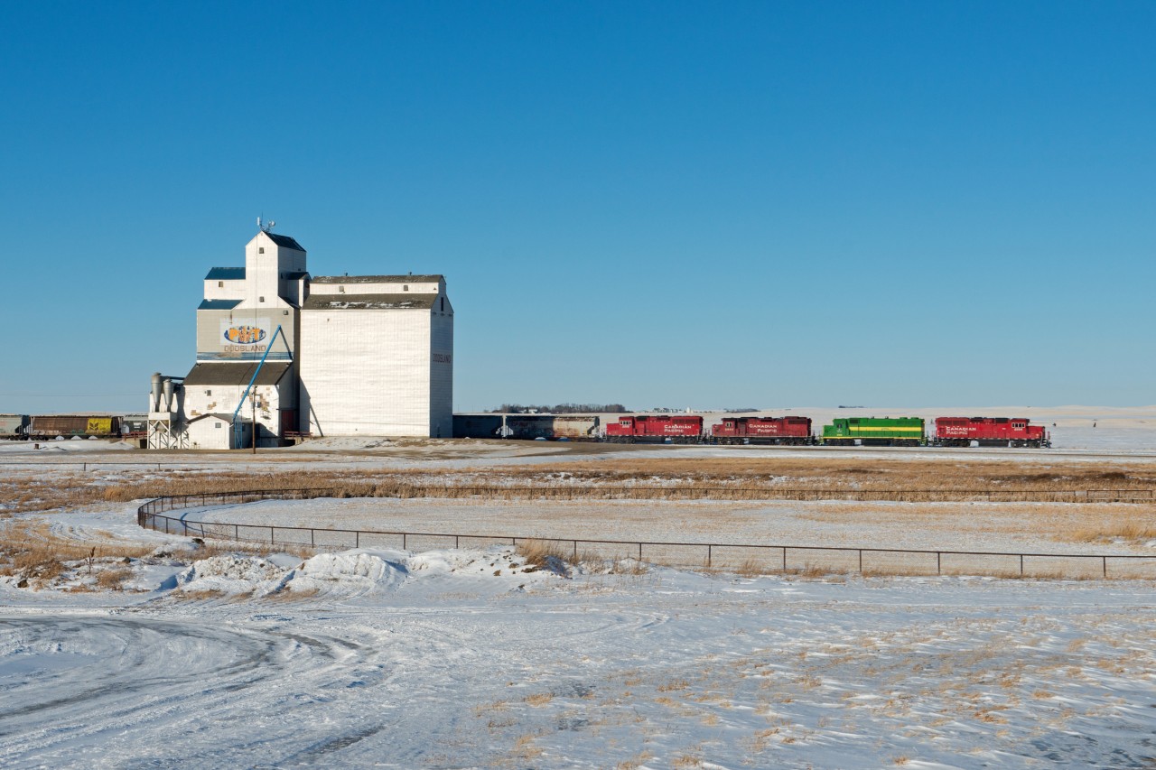 On a cold and quiet evening in Dodsland Saskatchewan a CP grain peddler rolls along at 10 MPH towards the elevator at Prairie West.