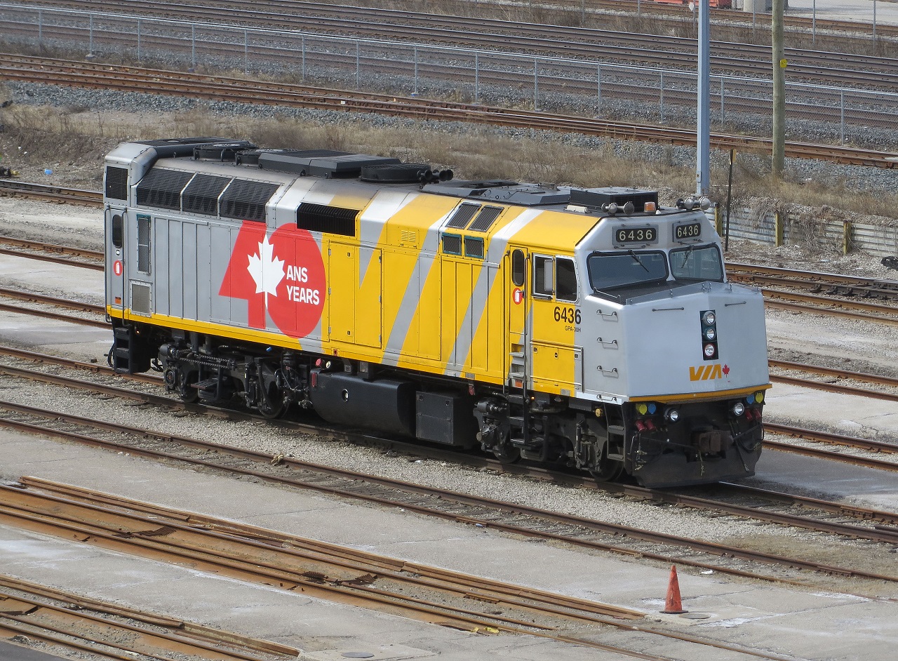 6436 rests at the Mimico maintenance facility with 40th anniversary wrap.