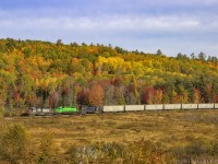 With the Fall colors finally starting to show, NBSR 6340, ex Southern Pacific, leads a somewhat colorful New Brunswick Southern railway westbound freight at Clarendon, New Brunswick. 