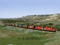 The Shaunavon Tramp with a grain pickup from Frontier passes Ravenscrag Butte in the Frenchman Creek valley on its way home to Shaunavon