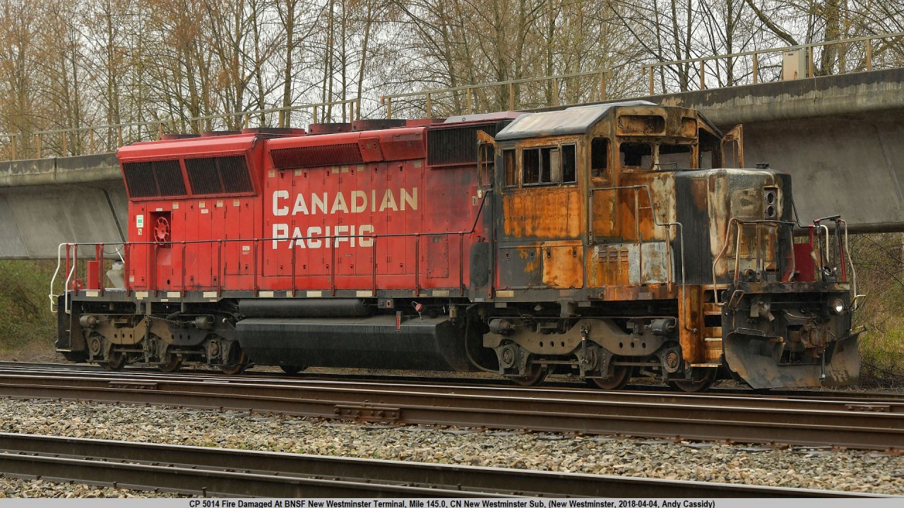 CP 5014 hit a truck full of Jet Fuel in the CP Coquitlam Yard back on January 22nd that resulted in a massive fireball and much damage to the unit. After being shipped away it recently returned and was placed in the BNSF New Yard in New Westminster for furtherance to Progress Rail in Tacoma WA. The unit is still local at time of writing, but now back on CP trackage near Fraser Mills. For further photos at this location check here: