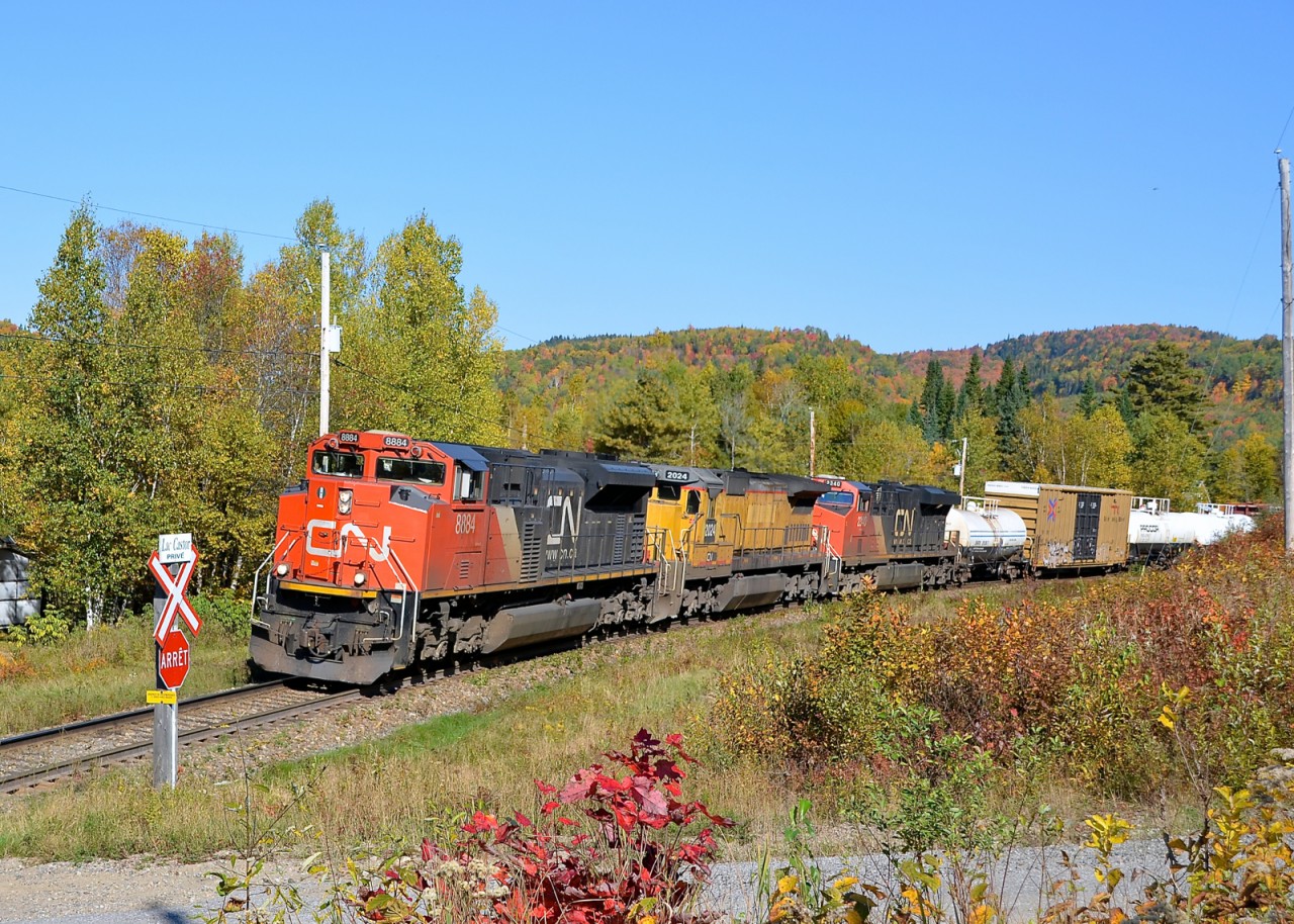 CN 369 heads south with with three head end units (CN 8884, CN 2024 and CN 2340) and two more mid-train (CN 5765 & CN 2267) as it approaches a private crossing.