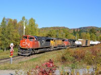 CN 369 heads south with with three head end units (CN 8884, CN 2024 and CN 2340) and two more mid-train (CN 5765 & CN 2267) as it approaches a private crossing.