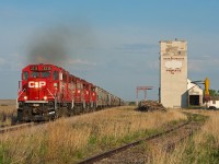 A quartet of four axle units lug 116 grain loads up-grade through Primate Saskatchewan on CP's Macklin Subdivision. 
