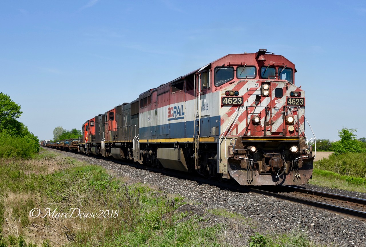 A surprise leader on today's 509 back to London. BCOL 4623 with CN 5623, CN 5645 and GTW 4916 about to cross Fairweather Sideroad east out of Sarnia, ON.