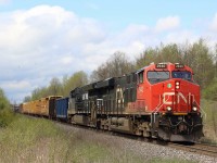 Turkey vultures soar high above as CN train 383 coasts downgrade at mile 30 of the Halton Subdivision. Norfolk Southern GE built Tier 4 #3623 trails the lead GEVO. A cut of empty CSX coal hoppers were mid train returning from a plant in Quebec.