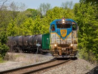 For the second year in a row, Canadian Pacific has tasked one of only two locomotives in original Delaware & Hudson paint to their annual spray train. Here, D&H 7303 negotiates one of the many curves at Waterdown, Ontario as the train descends the Niagara Escarpment on the Hamilton Subdivision.