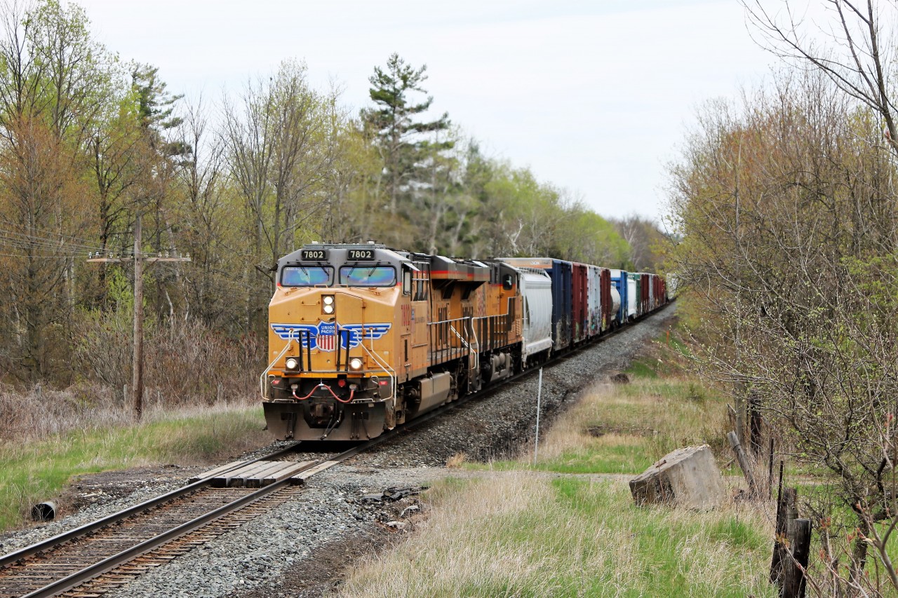 What a nice surprise this was from the faded red CP locomotives I've been seeing lately running down the Galt sub. Not only a UP leader in UP 7802 but a UP trailer in UP 8058 hauling 7800 feet of mixed manifest freight through Puslinch cleared to Ayr. Finally the dull brown of winter is giving up to the green of spring!