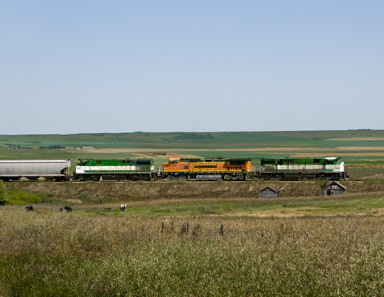 Due to the Expanse Subdivision from Moose Jaw to Assiniboia out of service due to floods, the Great Western was receiving empties at Swift Current and moving trains via Meyronne on the seldom used north end of the Vanguard Sub