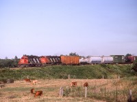 CN 4012 and 3557 lead a freight in Darlington Park, Ontario on August 6, 1987.
Bob