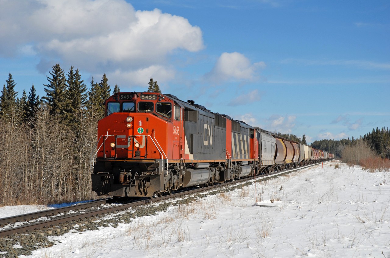 Now here's sight for sore eyes, CN 5455 and 5509 fly westward into Hinton Alberta on the point of a loaded grain train.