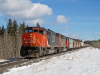 Now here's sight for sore eyes, CN 5455 and 5509 fly westward into Hinton Alberta on the point of a loaded grain train.  