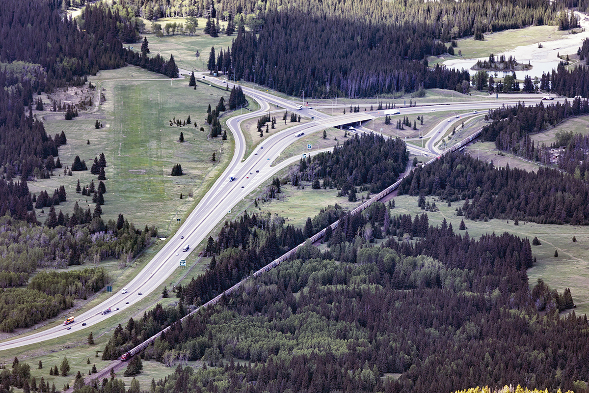 Three modes of transport in one shot; 9359 pushing the empty potash empties downhill towards Calgary, the elk filled (at times) Banff airport, and Hwy 1.