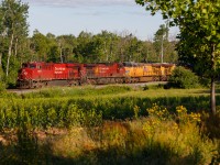 On a gorgeous June morning, Canadian Pacific train no. 143 rolls through the countryside at Waterdown, ON.