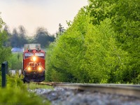 From a squirrel's eye view, CN 121 climbs the small grade after departing Moncton, approaching Berry Mills, New Brunswick. 
