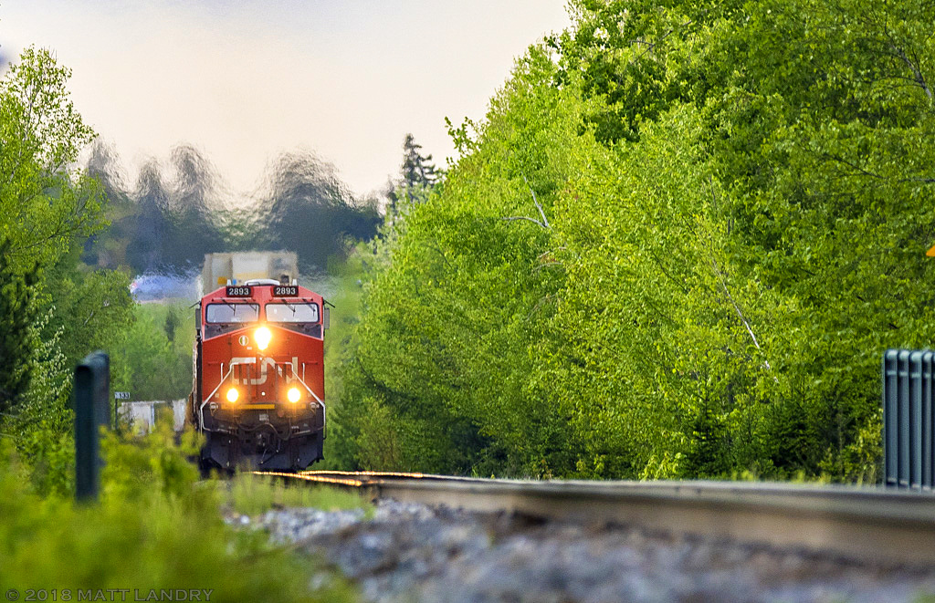From a squirrel's eye view, CN 121 climbs the small grade after departing Moncton, approaching Berry Mills, New Brunswick.