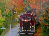 On Fathers Day, celebrate your dad or Granddad, past and present, or have your kids, or Grandkids (or in some cases, Great Grandkids!) celebrate you. Wishing everyone a happy Fathers Day! Here we see a young child getting a Shoulder ride from Dad along a picturesque fall scene in Guelph, Ontario.