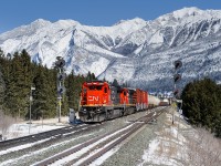 CN C40-8s 2005 and 2114 bring L513's up to the north track at English on a marvellous afternoon in The Rockies.