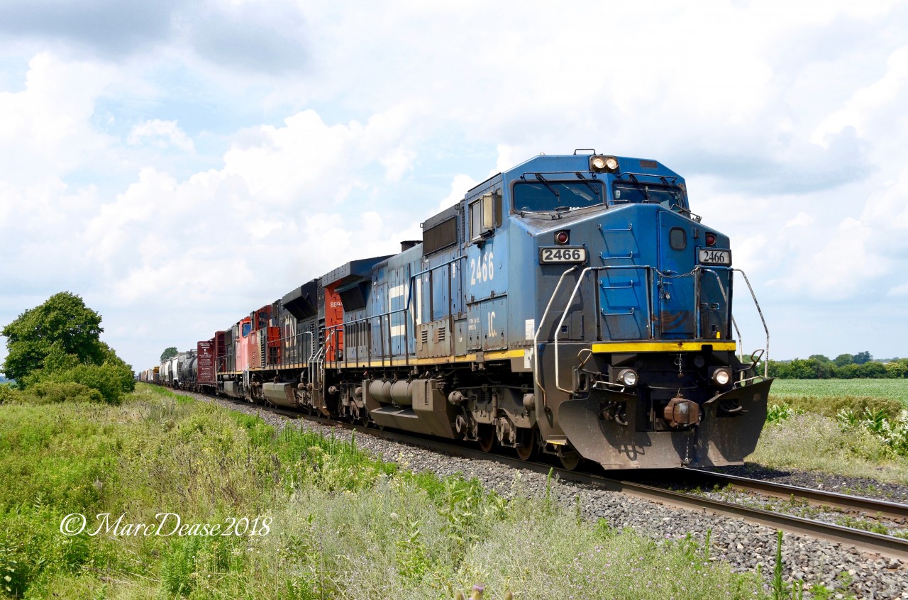IC 2466 leads train 384 east out of Sarnia with CN 8894 and CN 5624 trailing.