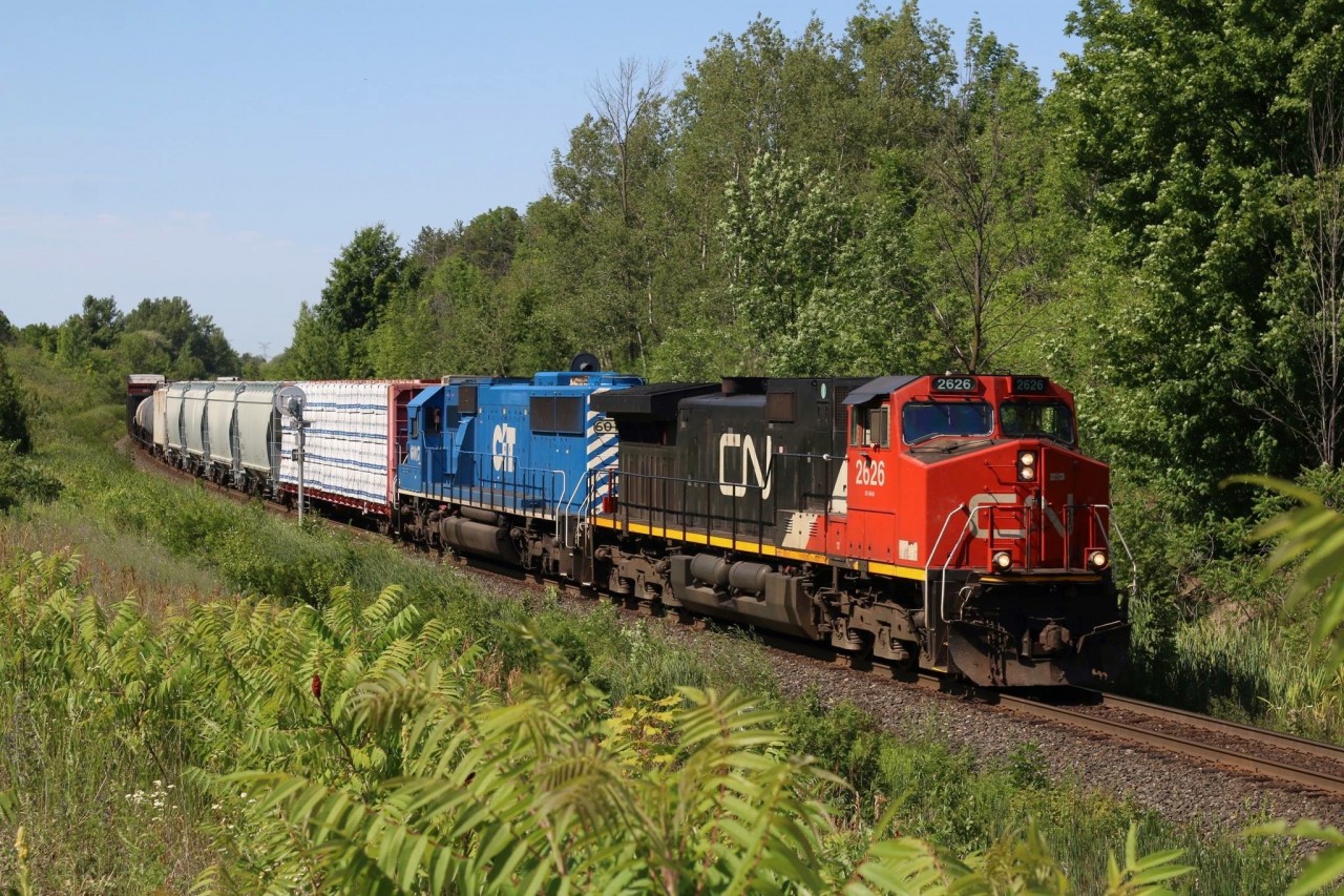 CN train 383 has CITX SD60 6017, formerly a SOO Line unit, trailing. A healthy dose of spring rain has covered the area with thick greenery gradually making some clear shots here a mile 30 a lot more challenging. I’m going to miss the rainbow of leasers on CN once new power arrives.