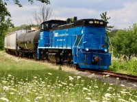 It nice that there is still some greenery left between Streetsville and Brampton. Today was the first day I actually got to briefly chase the new revamped OBRY. I’ve never been a big fan of End cab switchers, ok I do love RS23s and even SW1200s :) but I’ll take a road switcher any day over an end cab. I do like the blue on the GATX units but hope one day OBRY will once again sport a unit in company paint, along with tourist train service. Only time will tell I guess. I’ve shot the curve here before and with lots of slow orders today it was easy to follow them as they are seen about to cross Steele’s Avenue heading southbound at 1pm. It was nice seeing a very friendly crew in the cab too making my boys day :)